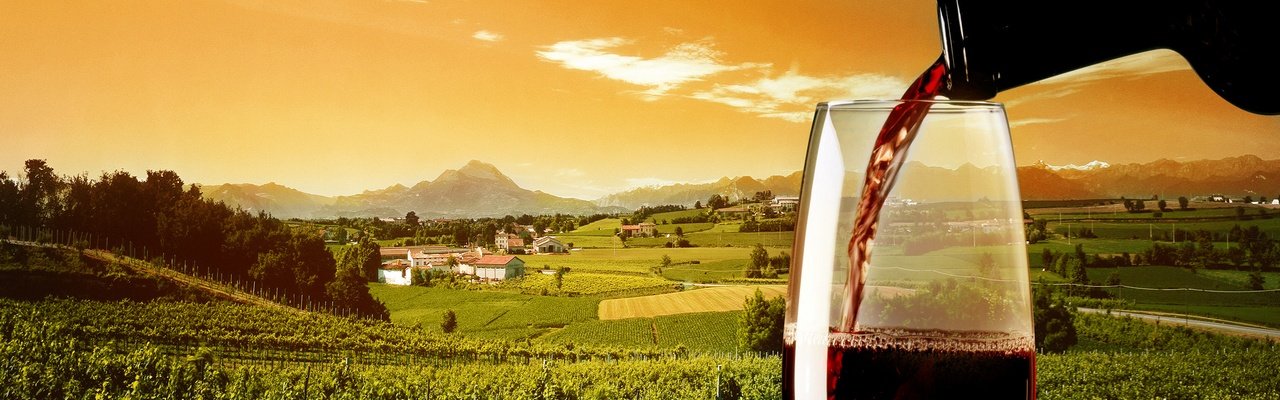 A magical tour of Athens and the famous wineries in Nemea