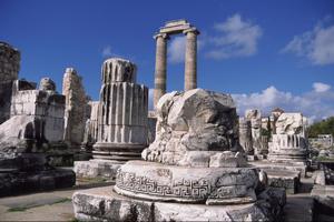  The Temple of Apollo at Didyma