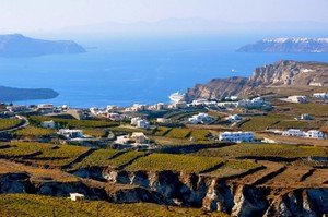 SantoriniVineyards athens tours greece