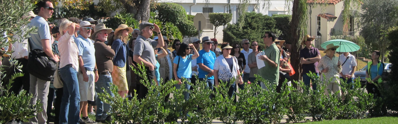 Athens walking tour