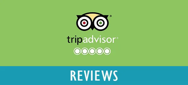 read reviews, write a review on tripadvisor