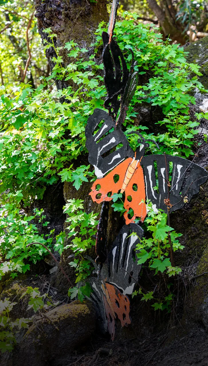 Butterflies Valley Rhodes
