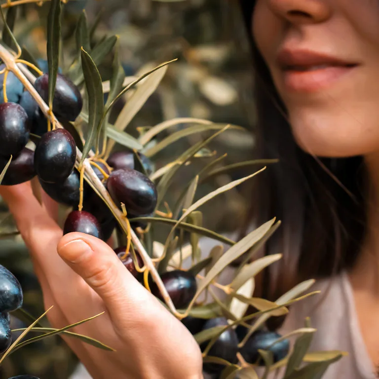 woman holding a branch with olives