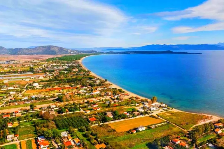 Marathon Beginnings- Explore the origins and legacy of the marathon event